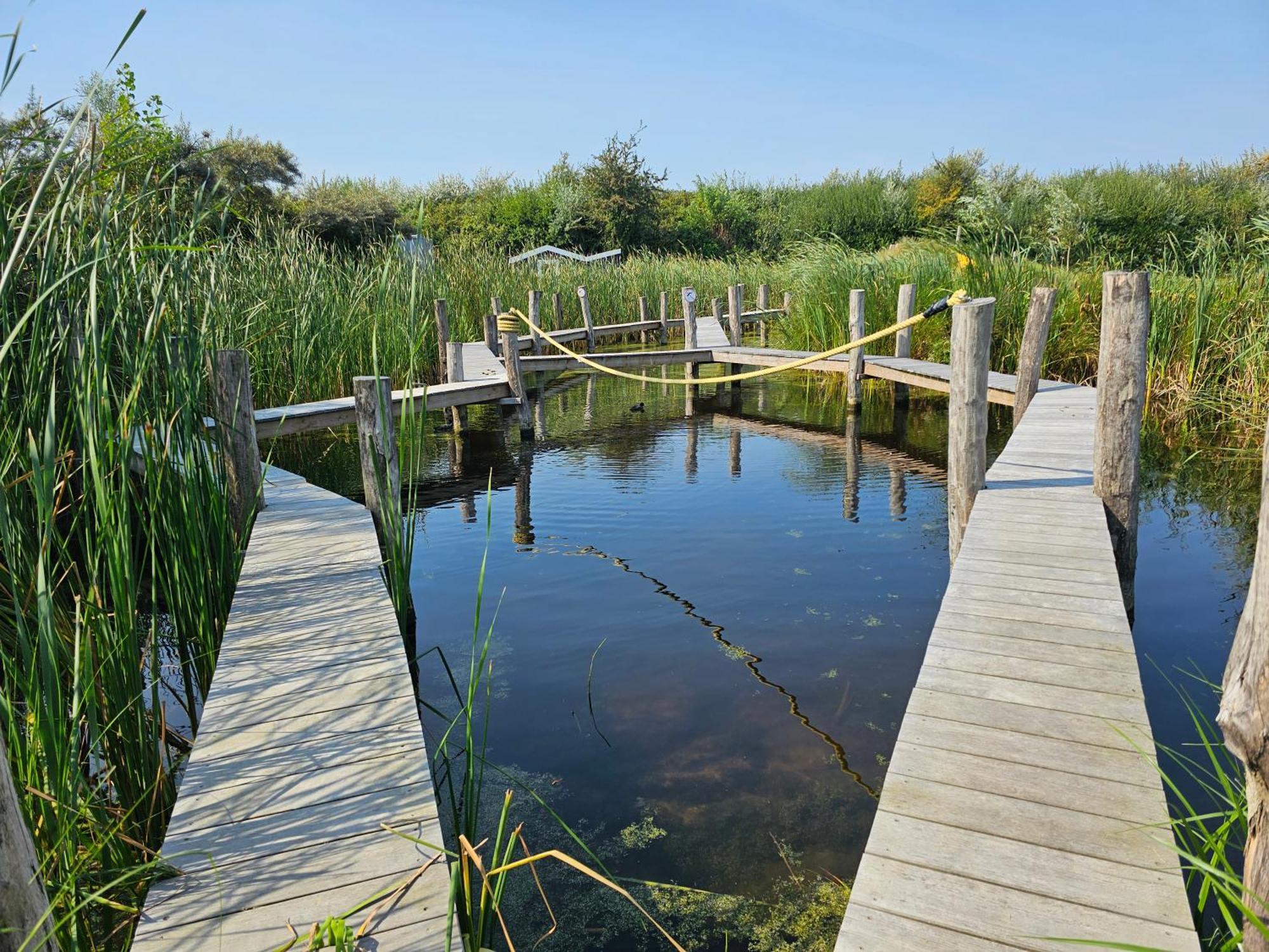 Olmenduin Chalet Olm Zeeland Сероскерке Екстериор снимка